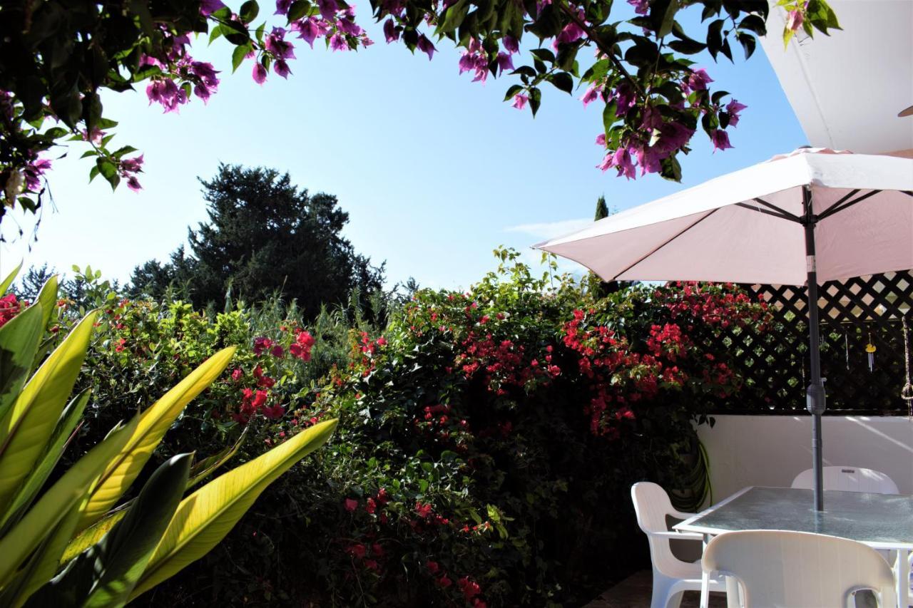 Townhouse In Paradise Gardens Paphos Eksteriør billede